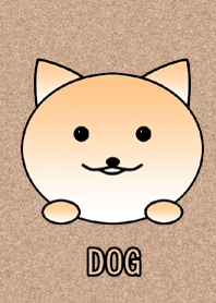 dog shiba