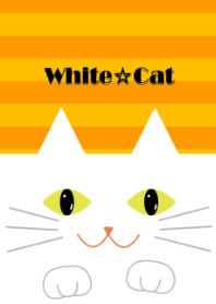 White cat !