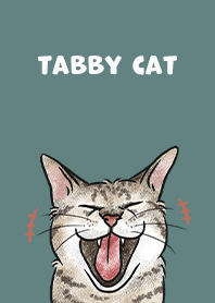 tabbycat4 / dark cadet blue