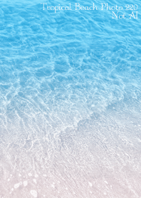 TropicalBeach Photo 220 Not AI