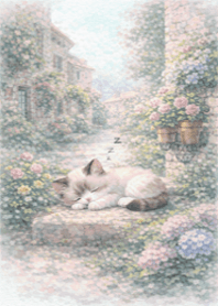 繡球花小貓花園