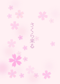 Sakura comes