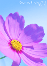 Cosmos Photo #7-4 Not AI