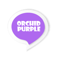 Orchid Purple Button In White V.3