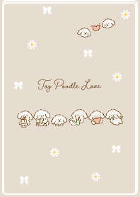 beige Toy Poodle Love 03_1