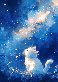 Wishing cat under the shooting stars_BU