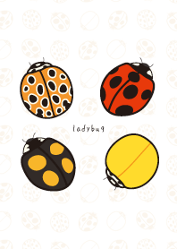 Cute ladybug