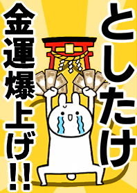 Fortune rise rabbiit[Toshitake]