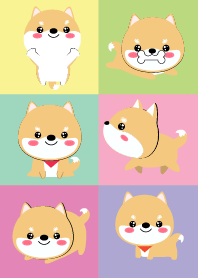 Love Shiba Inu Dog Theme