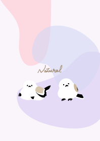 Long-tailed tit sitting8 from Japan