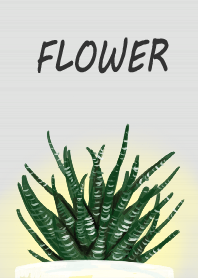 花花的世界03