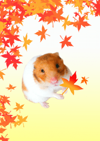 紅葉とゴールデンハムスター