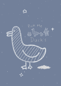 Pickme Duck-White feathers