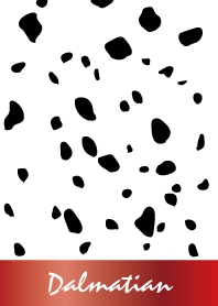 Dalmatian -GlossyRed-