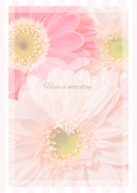 Pink Gerbera Theme -2021- 40