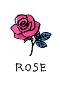 ROSE FLOWER