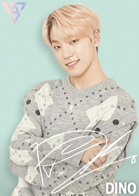 SEVENTEEN 着せかえ DINO ディノ