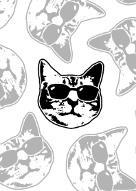 Cat and sunglasses
