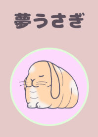 Yume-Usagi (Dreaming rabbits)
