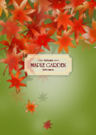 Maple garden 2018 *