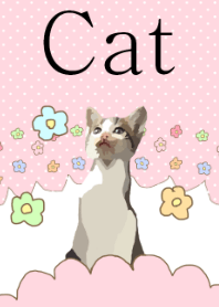 Cat illustration.