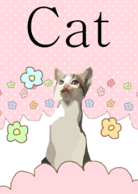 リアルなイラストねこ！