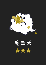 毛玉犬（星）