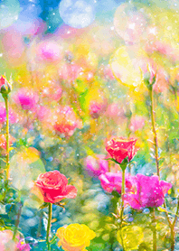 Beautiful rose flower(R5901)