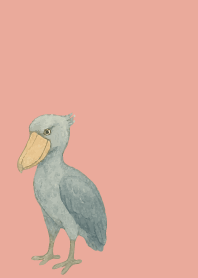 I am a shoebill on pink & blue