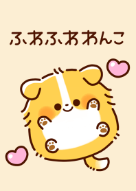 Fluffy little dog