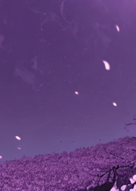 月光夜桜#DE219。
