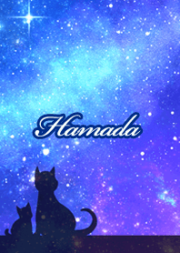 Hamada Milky way & cat silhouette