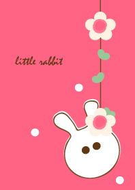 little rabbit with little flower 7