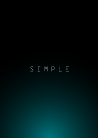 Simple Light-COOL BLACK 17