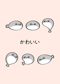 我養的薩卡班甲魚(櫻花粉紅色)