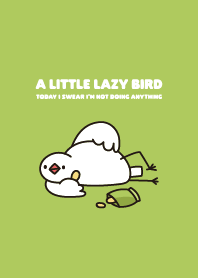Lazy bird - White Java Sparrow