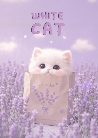 Kawaii White Cat In Lavender