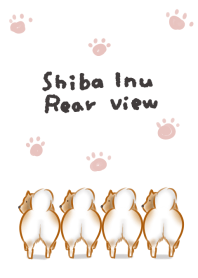 ง่าย Shiba Inu มุมมองด้านหลัง
