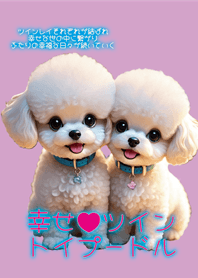 Happy Twin Toy Poodles
