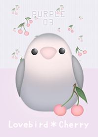 นกแก้วตัวเล็ก/ม่วง 03.v2