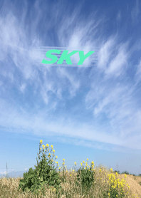 Sky1 Blue Sky : Spring