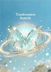 Transformation Butterfly