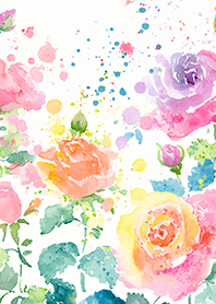 Beautiful rose flower(R4391)