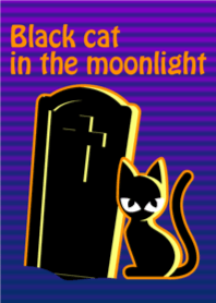 Black cat in the moonlight