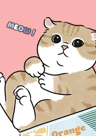 neko single16 - coral