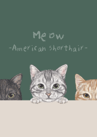 Meow-American Shorthair-DUSTY DARK GREEN