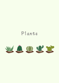 サボテンの植物-緑