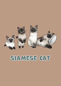 siamesecats3 / mocha