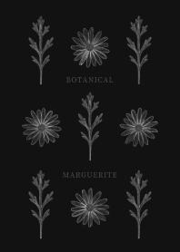 BOTANICAL - MARGUERITE / BLACK&WHITE