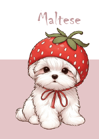 イチゴのマルチーズ犬トビー-JP